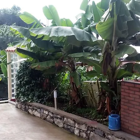 ゲストハウス Monumental フンシャル